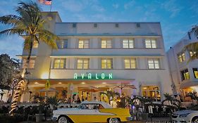 Avalon Hotel Miami Fl
